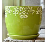 MYUYEE Grand Pot de Fleurs d'intérieur en céramique avec Plateau Rond créatif Simple Vert Carotte Viande pour Table (C),C