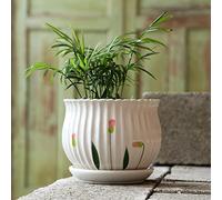 MYUYEE Grand Pot de Fleurs d'intérieur en céramique avec Plateau Rond créatif Simple Vert Carotte Viande pour Table (H),H