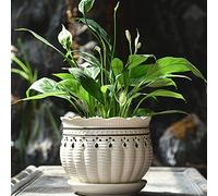 MYUYEE Pots de Fleurs cylindriques en céramique de 218 cm avec Soucoupe connectée jardinières en céramique pour Plantes succulentes et Petites Plantes serpentines,Je