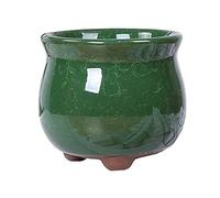 MYUYEE Pots de Fleurs en céramique Pots de Fleurs Pots de Plantes succulentes Cactus craquelés de Glace colorés Vieux tas de Fleurs Petite jardinière d'intérieur,Vert