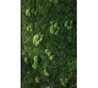 Myvegetal kit Mur végétal stabilisé épuré - Plantes et décoration Murale d'intérieur végétal sans entretiens , Plantes et Fleurs éternel Made in France , réalisez Votre Mur végétal ., 1m²