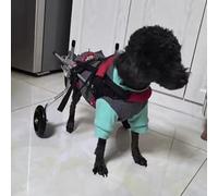 MYXJX Fauteuil Roulant pour Chien, Fauteuil Roulant réglable et Confortable for Chien, Fauteuil léger for Les Pattes arrière, Poussette for Animaux de Compagnie for la Marche avec l'arthrite(Red,M)