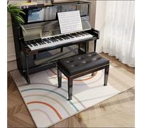 MYXJX Tapis de Batterie, Tapis de Sol antidérapant for Chambre à Coucher, paillasson d'intérieur, d'entrée(C,180cmx180cm)