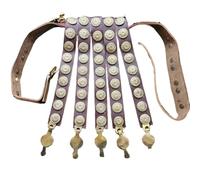 MZICXV Ceinture cingulaire de légionnaire romain avec cintre, ceinture de combat d'officier, sangle en Lorica Segmentata décorée en laiton for reconstitution