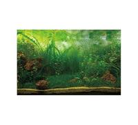 MZPOZB Fond D'Aquarium Autocollant forêt, Affiche de Fond d'aquarium, décoration Murale, aménagement paysager, Tropicale, Terrarium(GREEN4,40x80cm)