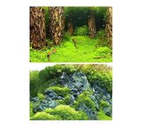 MZPOZB Fond D'Aquarium Décoration d'aquarium, Peinture de Fond, Paysage, océan, Plantes Marines, Toile(Color10,30x50cm)