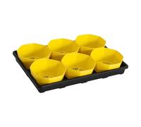 MZRAN Plateau à 6 compartiments avec pot de 15,2 cm avec design respirant et stockage d'eau pour la santé des racines à la maison