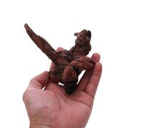 MZYFDC Bois Flotté D'aquarium Décoration de réservoir de cachette de Tortue en Bois flotté Ornement de Racine d'arbre de Jeune Arbre Violet décor d'aquarium décora(10-15cm1 Piece)