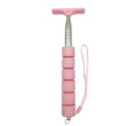 MZYFDC Essuie-Glace de rétroviseur rétractable, raclette en Caoutchouc Portable, Outils Nettoyage, dissolvant Pluie for Accessoires Automobiles pour Pare-Brise Et Essuie-Glace(Pink)