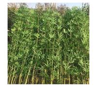 MZZKFC Bambou Plante Artificielle Arbre Artificiel en Bambou Assemblé pour Intérieur, 1,2 1,5 1,8 2,1 2,5m Plante Artificielle Imitation, Plantes Artificielles Plus D'intimité(Pack of 5,2.1m/82.7'')