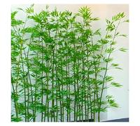 MZZKFC Bambou Plante Artificielle Clôture D'intimité en Bambou Artificiel, 120 150 180 210 250cm Bambou Artificiel Ultra-Haut Assemblé, Plante Artificielle en Pot Amovible(50 pcs,70 9/10 in-180cm)
