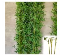 MZZKFC Bambou Plante Artificielle Poteau en Bambou Artificiel Extra Haut avec Feuilles Réalistes, Arbre Artificiel pour Cour, Entrée Jardin, D'intérieur 1,2 1,5 1,8 2.1 2,5m(40 Poles,8 1/5 ft(250cm))