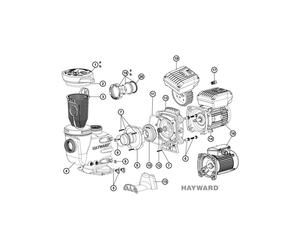 N°12+13 - Plateau et garniture mécanique de pompe Hayward Max Flo II