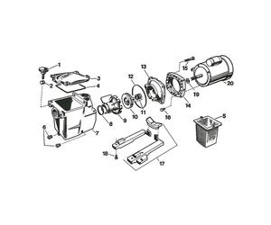N°15 - Vis plateau Super Pump Hayward