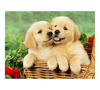 N / A 5D pour Adultes Peinture Diamant kit Complet Deux Chiots DIY Diamond Painting Strass à Broder au Point de Croix Arts Craft pour Home Décoration Murale Broderie-Round Drill,30X40CM