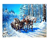 N / A Kit de Peinture Diamant 5D par numéro,Diamond Painting Broderie au Point de Croix,Diamond Painting Strass Complet Décoration Murale -Cheval Blanc de traîneau - 30x40cm