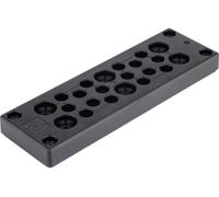 LAPP Plaque passe-câbles SKINTOP® MULTI 52220065 Ø max. 16 mm Polycarbonate 1 pc