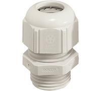 N/A LAPP SKINTOP® STR-M 50x1,5 RAL 7035 LGY 53111560 M50 Polyamide gris clair (RAL 7035) 1 pc(s)