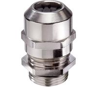 N/A Wiska EMSKV 50- 63 10101941 M50 M63 laiton laiton 10 pc(s)
