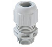 N/A Wiska ESKV-F- 25 10064629 M25 Polyamide gris clair (RAL 7035) 50 pc(s)