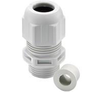 N/A Wiska ESKV-RDE 20 10064978 M20 Polyamide gris clair (RAL 7035) 50 pc(s)