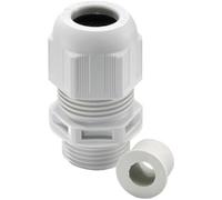 N/A Wiska ESKV-RDE 32 10064996 M32 Polyamide noir (RAL 9005) 25 pc(s)