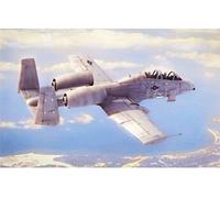N/aw A-10a Thunderbolt Ii - 1:48e -
