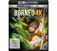 N - Borneo 4k [Blu-ray]
