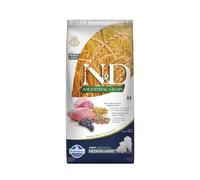 Farmina Alimentation chien N&D Ancestral Agneau, épeautre, avoine, myrtille Chiot Medium/Maxi 12 kg