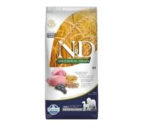 N&D ANCESTRAL Grain Dog Lamb, Spelt, Oats and Blueberry Adult Medium & Maxi 12KG