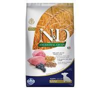 N&D ANCESTRAL Grain Dog Lamb, Spelt, Oats and Blueberry Puppy Mini 2.5KG