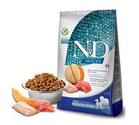 N&D Ocean Dog Salmon, COD and Cantaloupe Melon Adult Medium & Maxi 2,5 KG