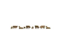 Noch Vaches N peintes, debout et allongées