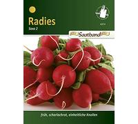 N.L. Chrestensen 42014 Radies Saxa 2 Ruban de graines de radis