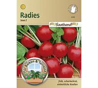 N.L. Chrestensen 43006 Radies Saxa 2 (ruban de semence) (graines de radis)