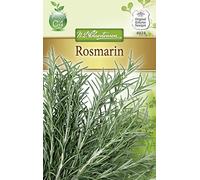 N.L. Chrestensen 4974 Romarin (graines de romarin)