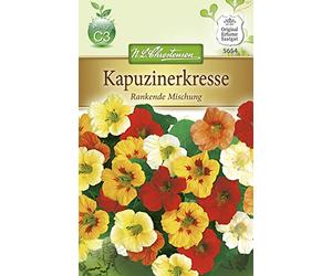 N.L. Chrestensen 5654 Capucine à capuche en graines de vinaigrette