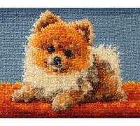 N.LANSHAN Chien Animal Diy Kit Tricot Debutant Tapis Poméranien De Dessin Animé Kit De Fabrication De Tapis À Loquet Pour Adultes Et Enfants，Kits De Point De Croix，Tapisserie. 60x90cm