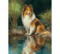 N.LANSHAN Diy Tapis Kit Crochet Debutant Chien De Berger Des Shetland Animal Kit De Tapis À Faire Soi-Même，Broderie Au Crochet，Toile Imprimée，Décoration D'Intérieur 55x75cm