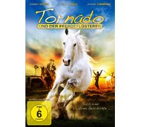 N - Tornado und der Pferdefluesterer