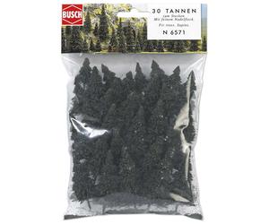 N/tt 30 Pine Trees