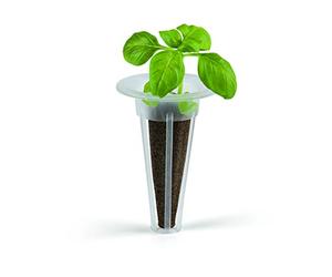 N8WERK Kit de rechange pour système de culture - Lot de 28 éponges et 28 pots de graines - Systèmes de culture hydroponique - Pour la culture de légumes, de fleurs et d'herbes