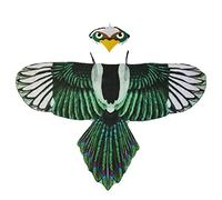 NA Enfants Dessin animé Aigle Costume Ailes d'oiseau Cape et Couverture de Visage Cosplay Accessoires de Performance Costumes de scène Mascarade Ailes d'oiseau Cosplay