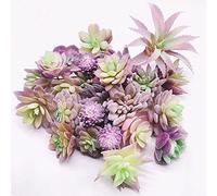 NA Woohome Lot 25 plantes succulentes artificielles, violettes, assortiment floqué, pour décoration intérieure et mur