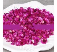 NAABHIKA 140 PCS Vraies Fleurs Séchées Brésil Petite Étoile Fleur pour DIY Art Artisanat Résine Époxy Bougie Fabrication De Bijoux De Mariage Décoration De La Maison-Rose Rouge