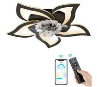 NACATIN Plafonnier-Ventilateur LED Silencieux - 6 Vitesses, 3 Couleurs Dimmables,Minuterie,Puissance 46W - Noir