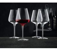 Nachtmann ViNova Vin rouge Magnum