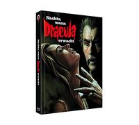 Nachts, wenn Dracula erwacht - Mediabook - 4-Disc Limited Collector‘s Edition Nr. 48 auf 333 Stück (Cover B) [Blu-ray]