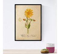 Nacnic affiche des fleurs vintage. feuille tradescantia avec un design vintage. design d'intérieur Botanique. format A4