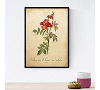 Nacnic affiche des fleurs vintage. Imprimer hémérocalles, conception hémérocalle vintage. design d'intérieur Botanique. format A4